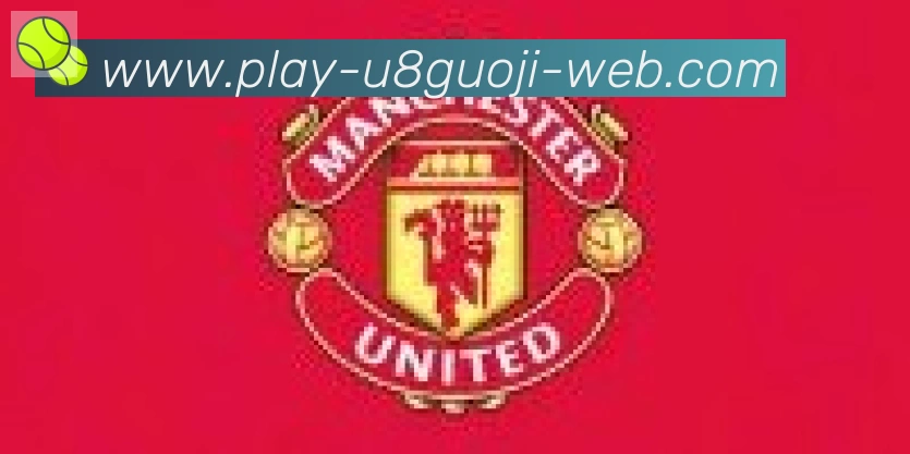 U8国际体育合作伙伴
